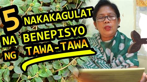 TAWA (Tagalog).